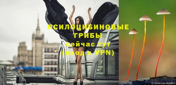 стаф Гусиноозёрск