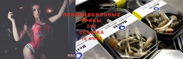 стаф Гусиноозёрск