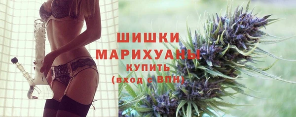 гидропоника Гусь-Хрустальный