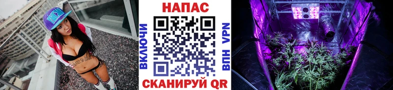 Купить  Курильск  Конопля Amnesia 